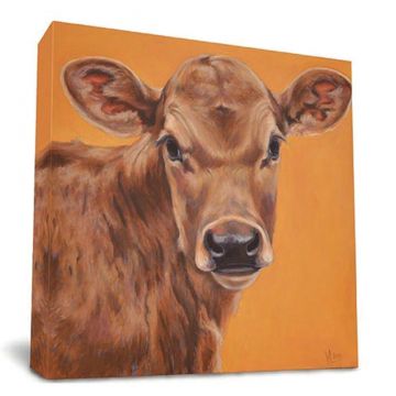 Jim Baby Cow Canvas Print